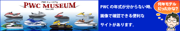 PWC�ߥ塼������