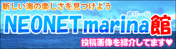 �����͸�ή�ڡ������ͥ��ͥåȥޥ꡼�ʴ�OPEN!