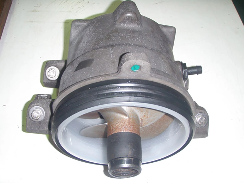 ¥Ý¥ó¥×¥Ï¥¦¥¸¥ó¥°¤ò¼è¤ê³°¤¹