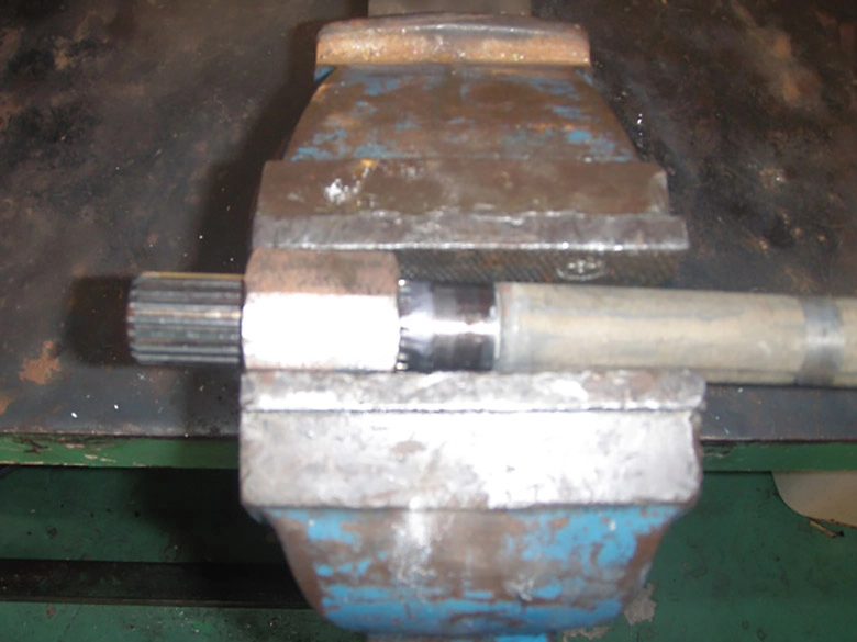 ¥É¥é¥¤¥Ö¥·¥ã¥Õ¥È¥Û¥ë¥À¡¼¤òËüÎϤ˸ÇÄꤹ¤ë¡£