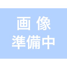 ���ގ������Ď�����