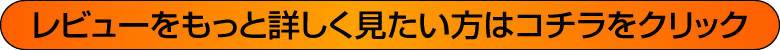 ݡ400 ӥ塼