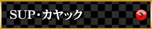 SUPå 뾦ʤϥ