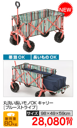 ĹOK꡼ ֥롼ȥ饤