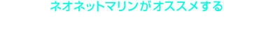 ͥͥåȥޥ 