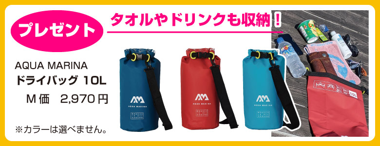 ץ쥼ʡɥ饤Хå10L