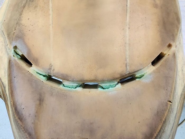 ɬ���������쥿�����»̵ͭ�򤴳�ǧ��������