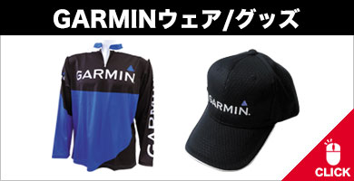 garmin 234