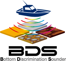 BDS logo