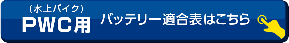 �K���\�͂�����