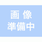 MA-21024_1.gif