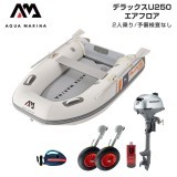 DELUXE-U �ǥ�å��� U250�����ե���D���å� (�ۥ��2����������)