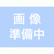 �����ӥ��ޥ˥奢�� BF200A-BF225A��2��