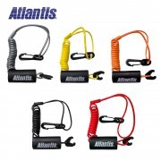 ����������ɡʥ٥��ȡ˥��䡼��  YAM