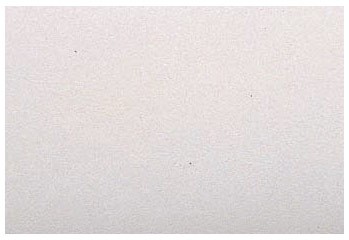 �ۥ磻��(�����ɥ��顼��